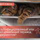 Нотариальный перевод документов - Besttranslated