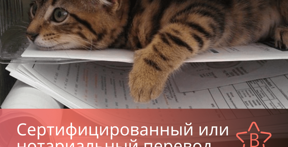 Нотариальный перевод документов - Besttranslated