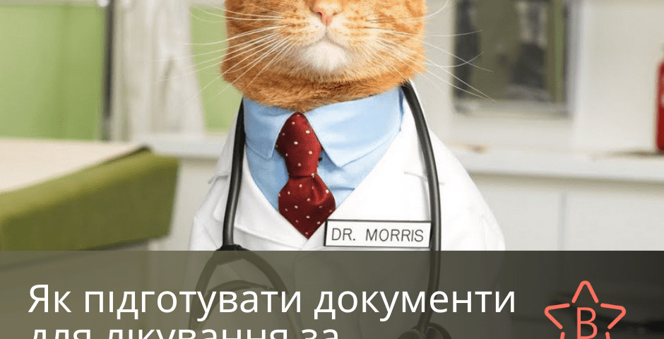 Як підготувати документи для лікування за кордоном? - БП Besttranslated