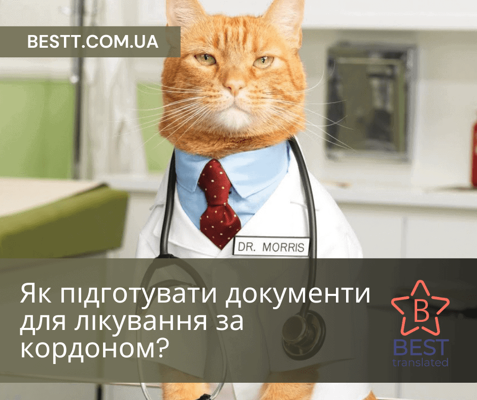 Як підготувати документи для лікування за кордоном? - БП Besttranslated