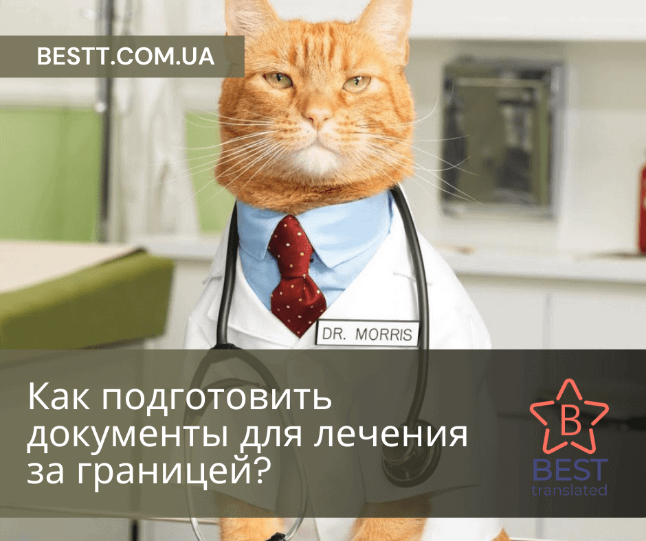 Как подготовить документы для лечения за границей? - БП Besttranslated
